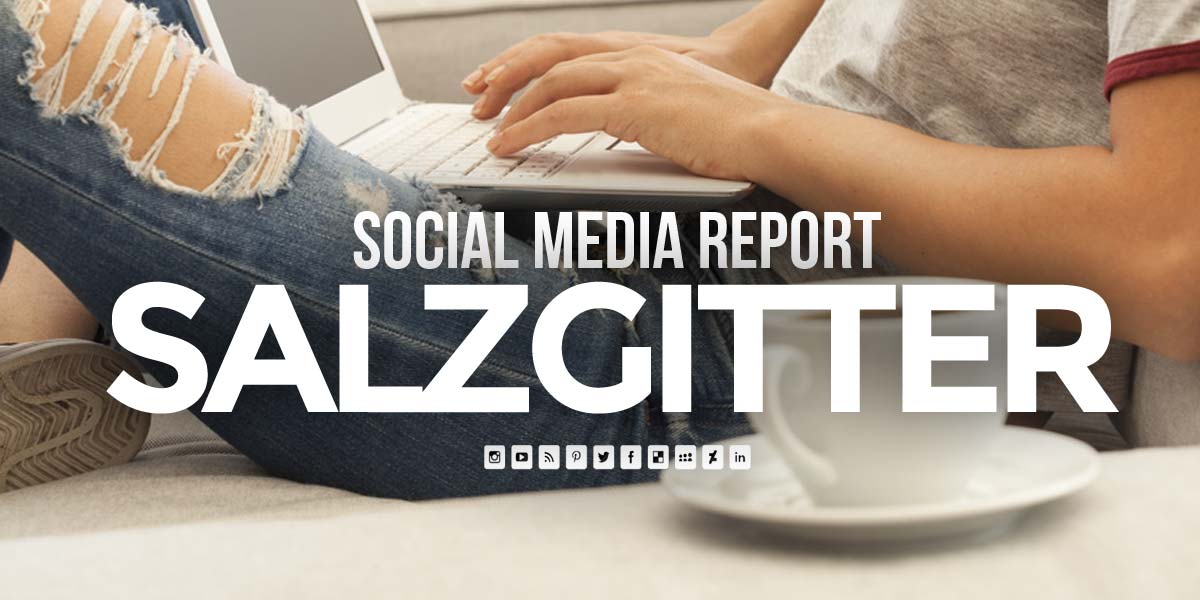 social-media-marketing-agentur-report-salzgitter-nutzungsverhalten-kunden-influencer-soziale-netzwerke-statistik-daten-twitter-facebook-instagram